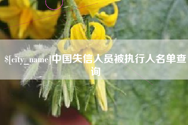 雅安中国失信人员被执行人名单查询