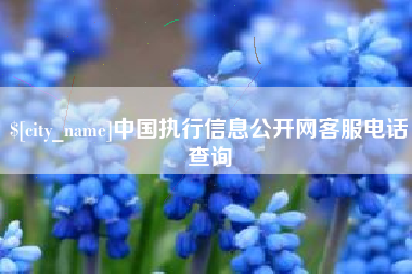 雅安中国执行信息公开网客服电话查询