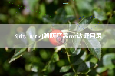雅安消防产品cccf认证目录