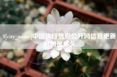 雅安中国执行信息公开网信息更新时间是多久