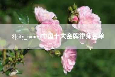 雅安中国十大金牌律师名单