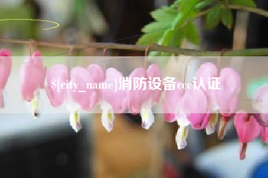 雅安消防设备ccc认证