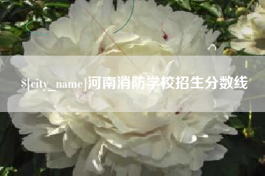 雅安河南消防学校招生分数线