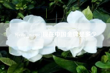 雅安现在中国金牌是多少