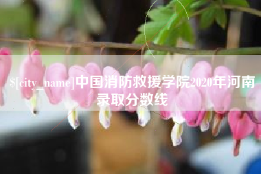 雅安中国消防救援学院2020年河南录取分数线