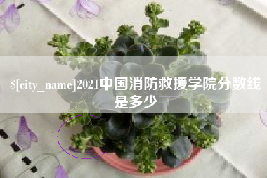 雅安2021中国消防救援学院分数线是多少