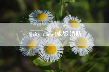 雅安成都 消防