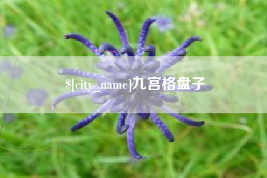 雅安九宫格盘子