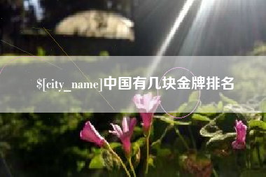 雅安中国有几块金牌排名