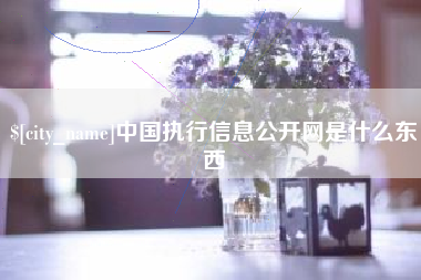 雅安中国执行信息公开网是什么东西