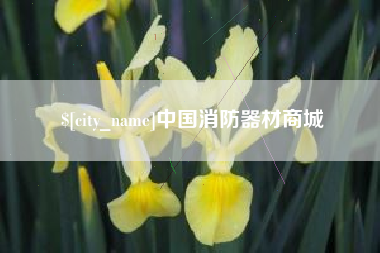 雅安中国消防器材商城