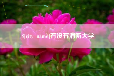 雅安有没有消防大学