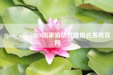 雅安2020国家消防救援报名系统官网