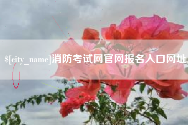 雅安消防考试网官网报名入口网址