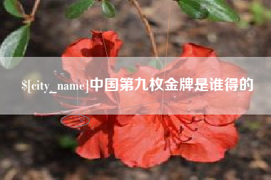 雅安中国第九枚金牌是谁得的
