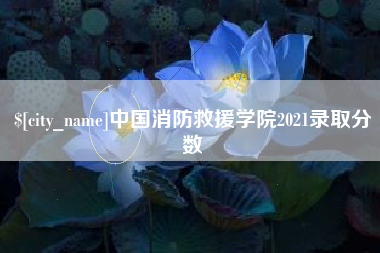 雅安中国消防救援学院2021录取分数