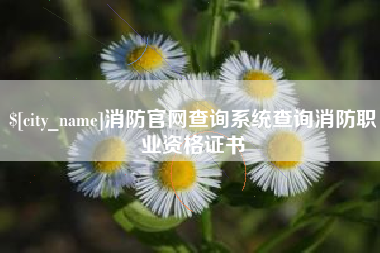 雅安消防官网查询系统查询消防职业资格证书