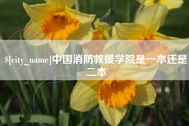 雅安中国消防救援学院是一本还是二本