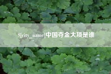 雅安中国夺金大项是谁