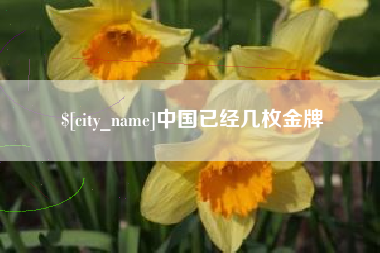 雅安中国已经几枚金牌