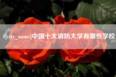 雅安中国十大消防大学有哪些学校