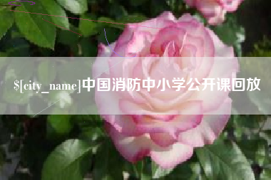 雅安中国消防中小学公开课回放
