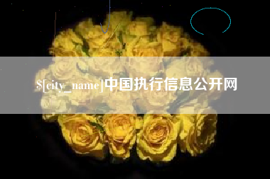 雅安中国执行信息公开网