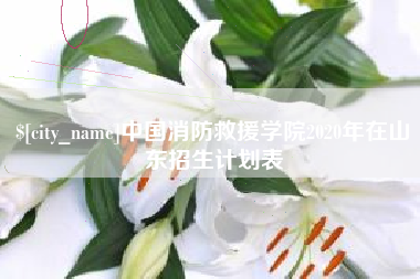 雅安中国消防救援学院2020年在山东招生计划表