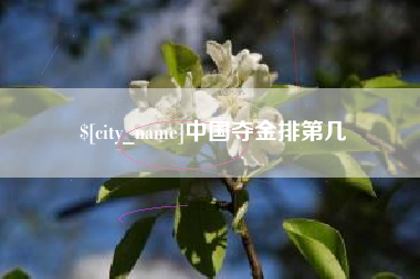 雅安中国夺金排第几