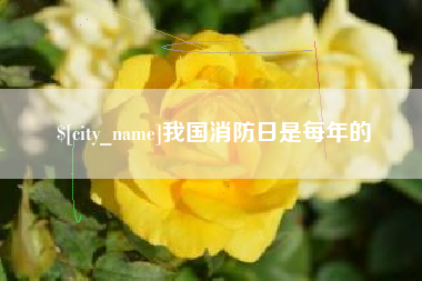 雅安我国消防日是每年的