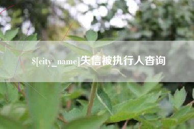 雅安失信被执行人杳询
