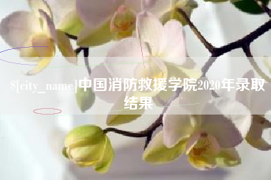 雅安中国消防救援学院2020年录取结果