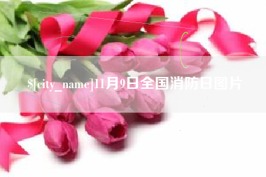 雅安11月9日全国消防日图片