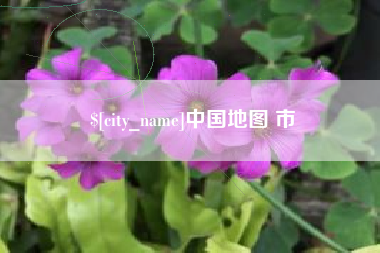 雅安中国地图 市