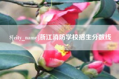 雅安浙江消防学校招生分数线