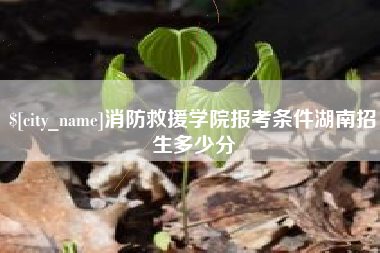雅安消防救援学院报考条件湖南招生多少分