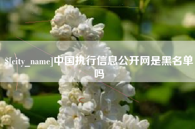 雅安中国执行信息公开网是黑名单吗