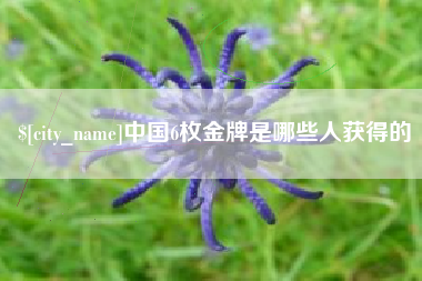 雅安中国6枚金牌是哪些人获得的