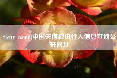 雅安中国失信被执行人信息查询公开网址
