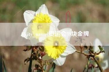 雅安奥运会39块金牌