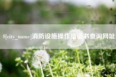 雅安消防设施操作员证书查询网址