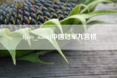 雅安中国冠军九宫格