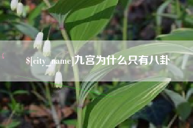 雅安九宫为什么只有八卦