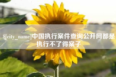雅安中国执行案件查询公开网都是执行不了得案子