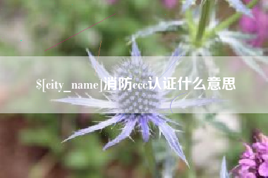 雅安消防ccc认证什么意思