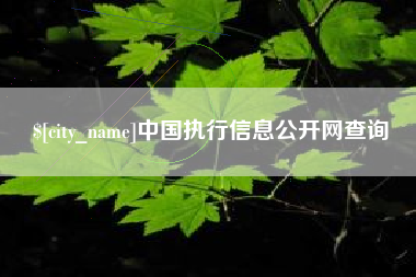 雅安中国执行信息公开网查询