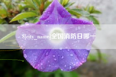 雅安全国消防日哪一