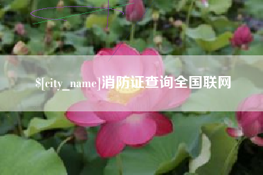 雅安消防证查询全国联网