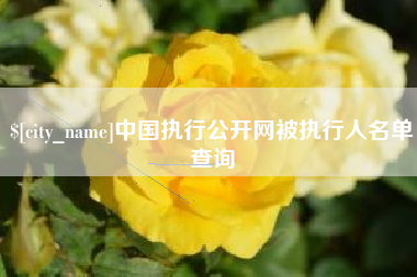 雅安中国执行公开网被执行人名单查询