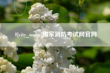 雅安国家消防考试网官网
